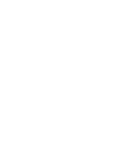 Check icon